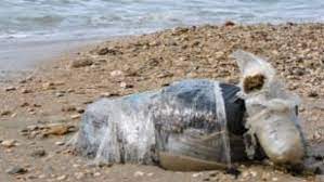 جربة / حجز كمية كبيرة من “الزطلة” هذه قيمتها