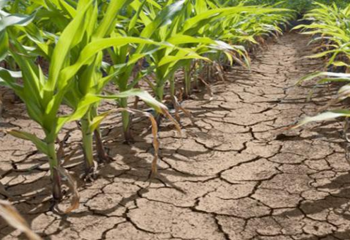 نسبة الامتلاء 31 % فقط : تونس مهددة بالجفاف نسبة الامتلاء 31 % فقط : تونس مهددة بالجفاف