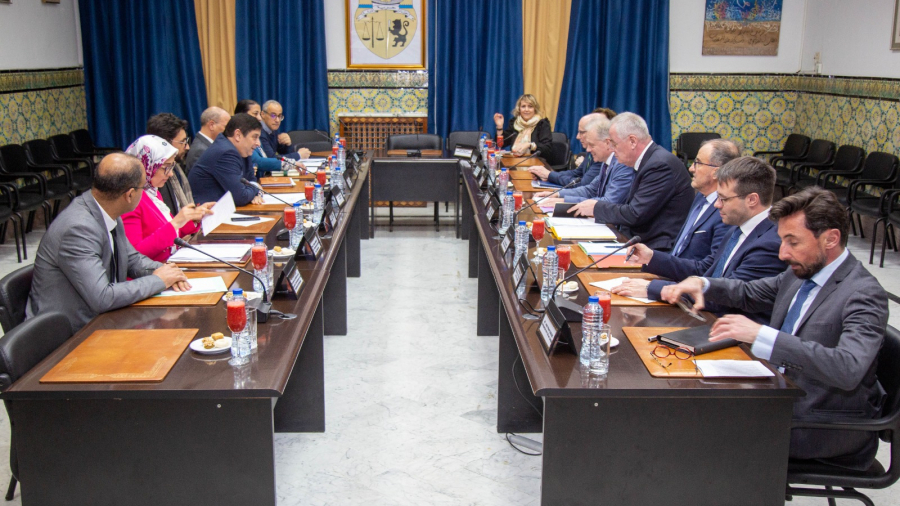 وفد الاتحاد الأوروبي في وزارة الشؤون الاجتماعية.. وهذا ما تم التداول فيه