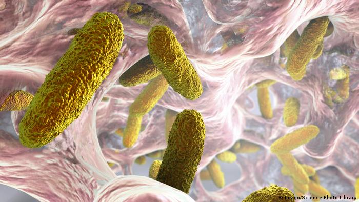 تحذير من بكتيريا خطيرة