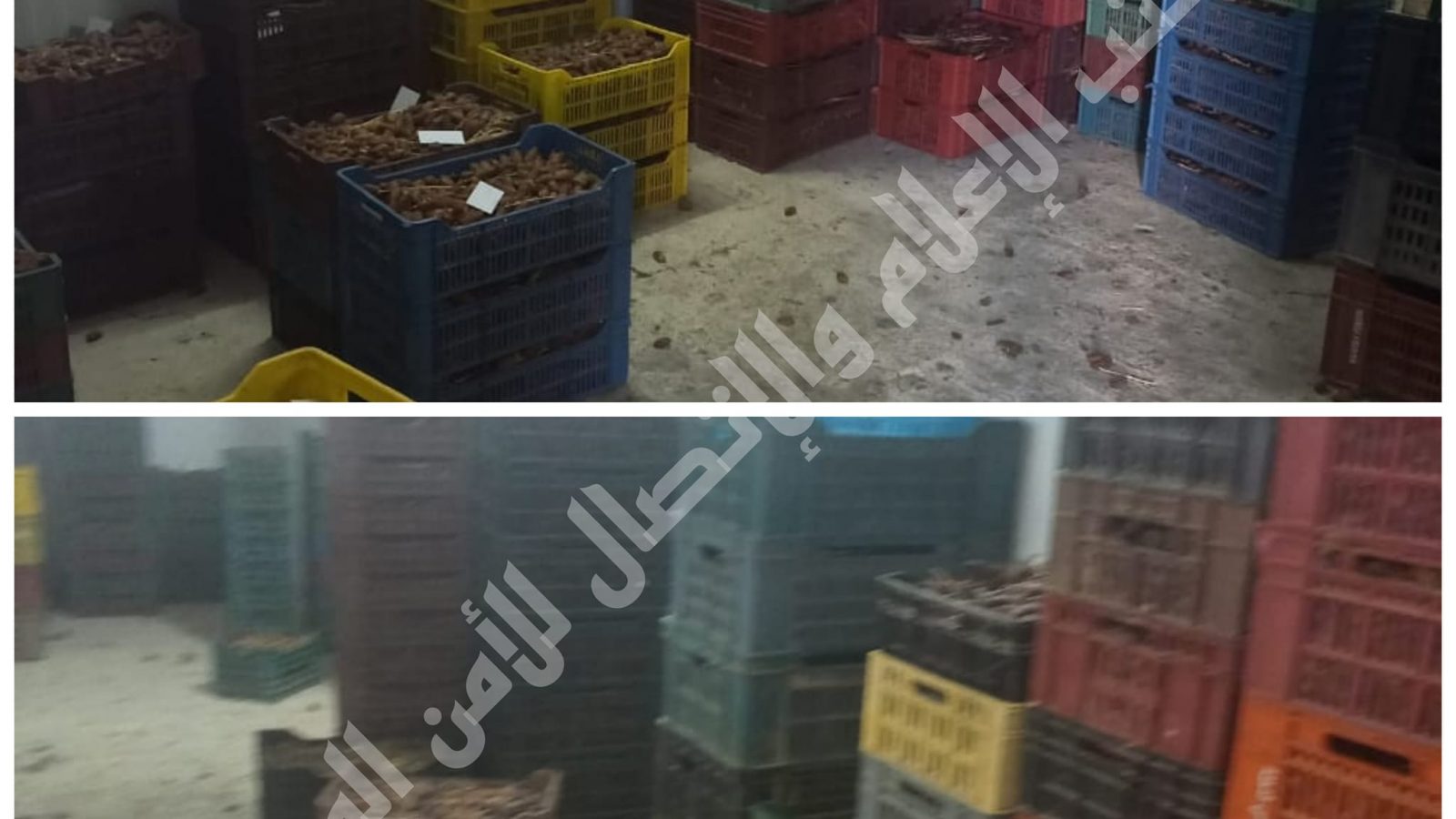 صفاقس/ حجز أطنان من التمور بأحد المخازن العشوائية!