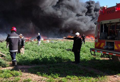 القصرين/ حريق يأتي على 400 شجرة تفاح