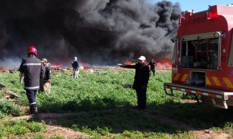 سليانة/ إندلاع حريق في جبل بو عبد الله
