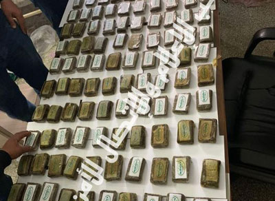 نابل/ حجز 145 صفيحة زطلة مخبأة بضيعة فلاحية!