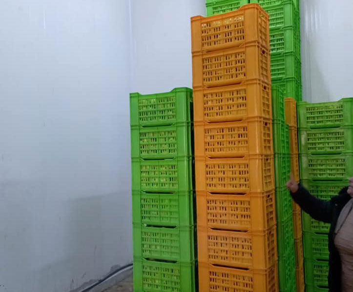 تفاح معد للاحتكار