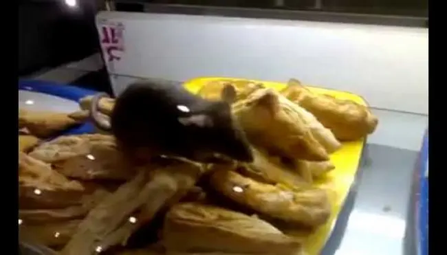منوبة/ كميات كبيرة من الحلويات الفاسدة في مستودع عشوائي