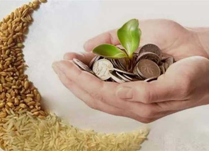 مفتي الجمهورية يعلن عن قيمة زكاة الفطر