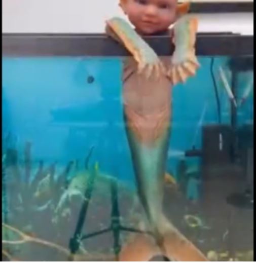 اشعل النات / ما حكاية المخلوق في شكل سمكة وانسان ؟