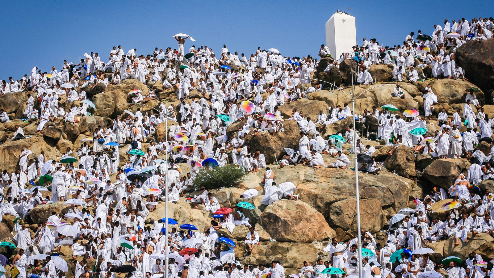 وزير الشؤون الدينية: تم التخفيض من كلفة الحج بتدخل من الرئيس