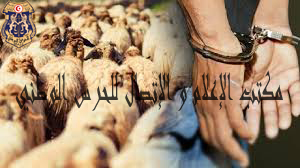 بنزرت/ الكشف عن شبكة لسرقة الاغنام