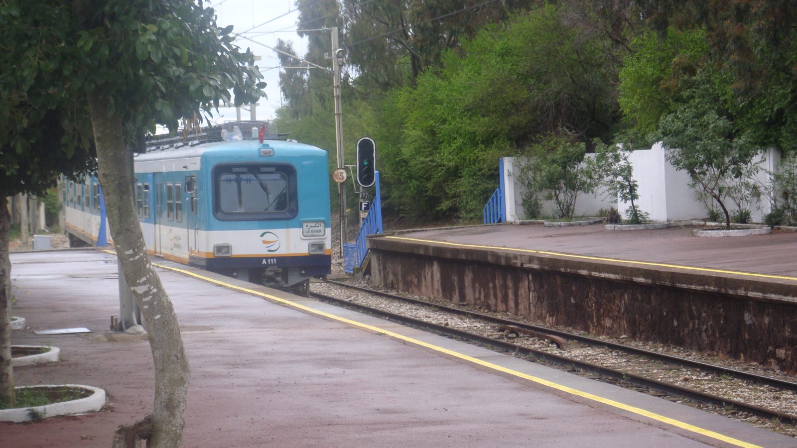 فظيع في الكرم/ مصرع إمرأة دهسا تحت عجلات القطار