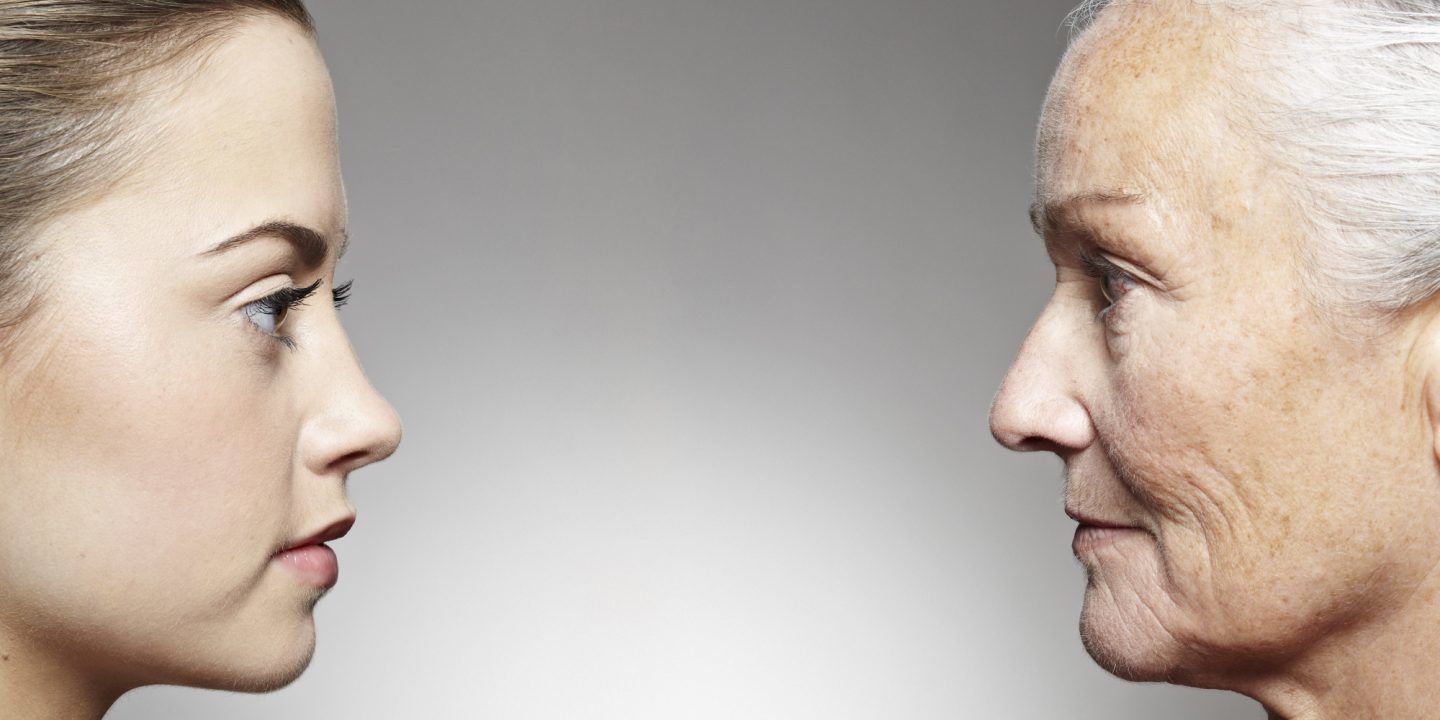 لتحسين الذاكرة ومكافحة الشيخوخة.. تناولوا هذه الفاكهة لتحسين الذاكرة ومكافحة الشيخوخة.. تناولوا هذه الفاكهة