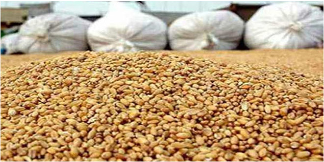 اتحاد الفلاحة: تدهور منظومات الانتاج في كامل جهات البلاد