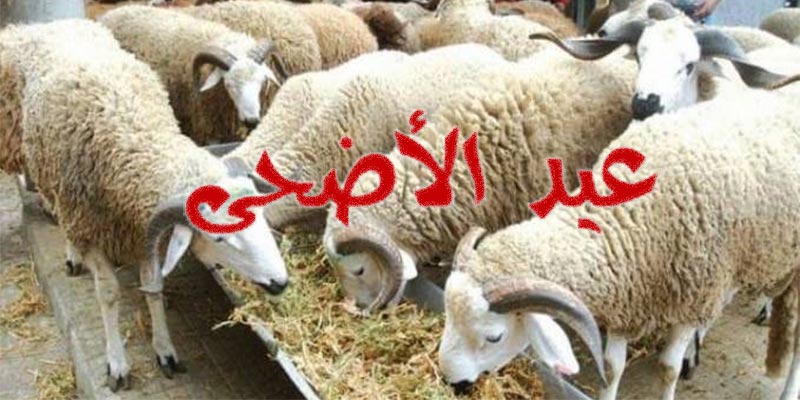 عيد الاضحى