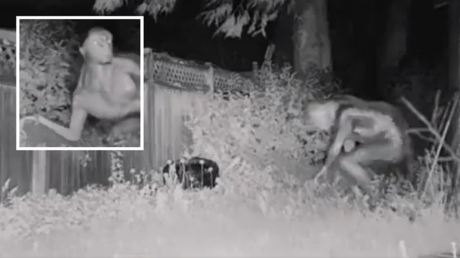 شاهد/ ما حقيقة رصد كائن فضائي غريب في لاس فيغاس؟