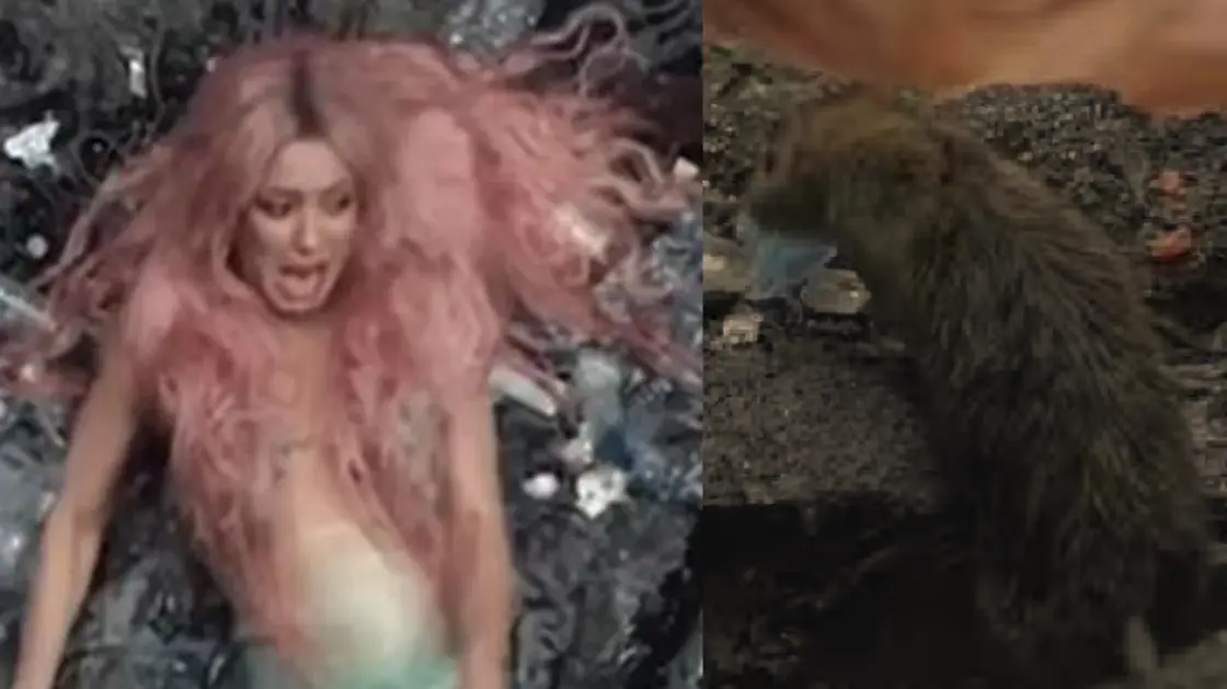 شاهد/ جرذ يثر رعب شاكيرا