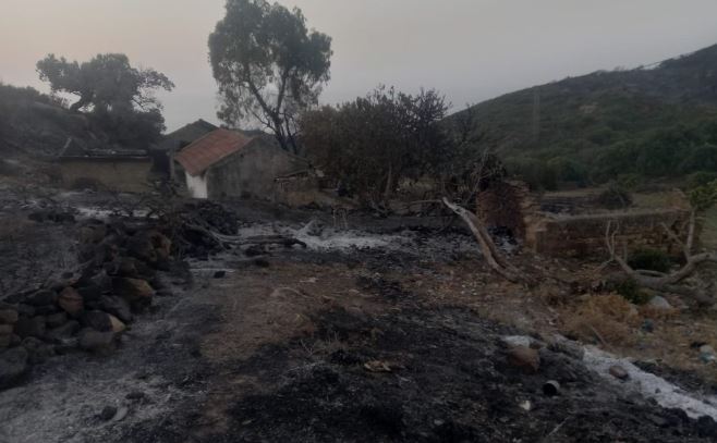 شاهد/ حرائق طبرقة تمتد للمساكن.. التفاصيل