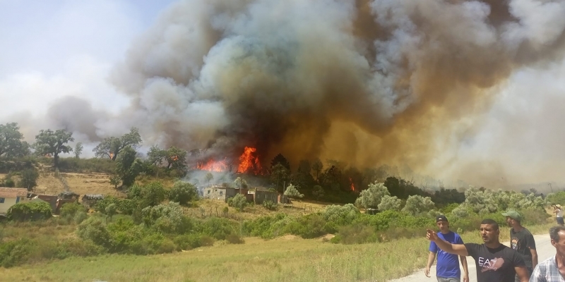 الجزائر تُعيد فتح معبر أم الطبول ولكن..