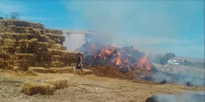 ماطر/ حريق بمستودعين للأعلاف.. والقبض على الجاني
