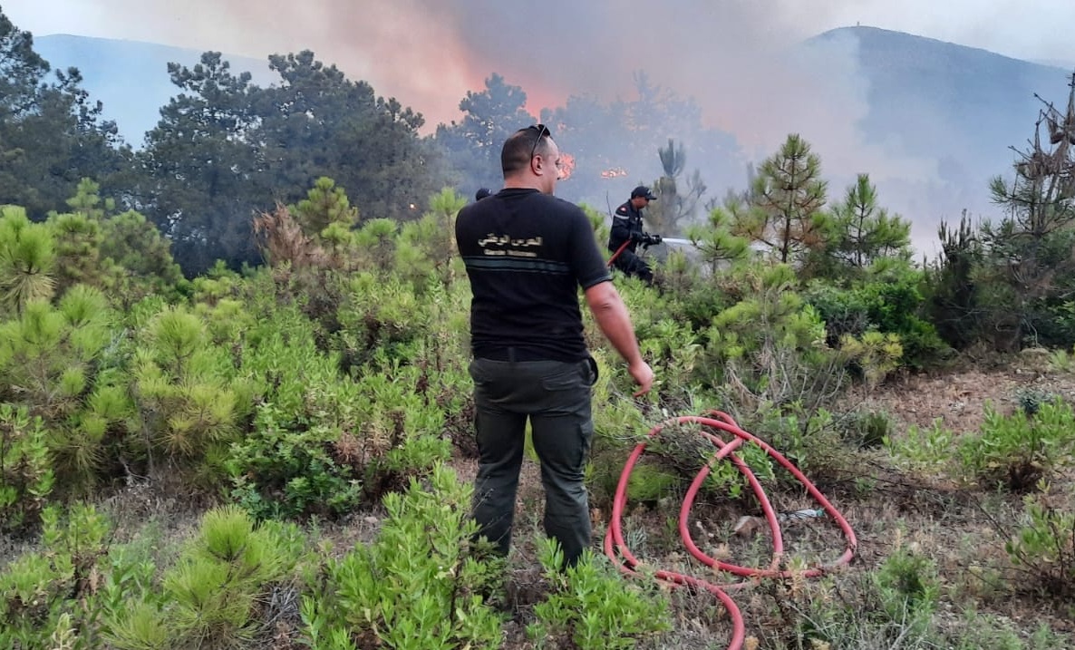 حريق غابات ملولة/ جهود الإطفاء تتواصل