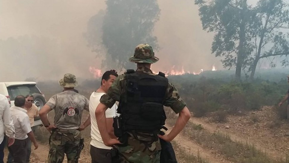 باجة/ حالة تأهب قصوى للسيطرة على حريق نفزة