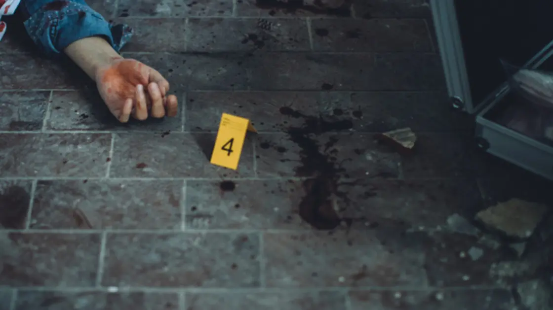 قتل والدته ووضع ذراعيها في الثلاجة وبقية جسدها في القمامة