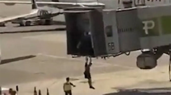 شاهد/ اقتحما بوابة المغادرة وسببا حالة من الهلع بالمطار (فيديو)