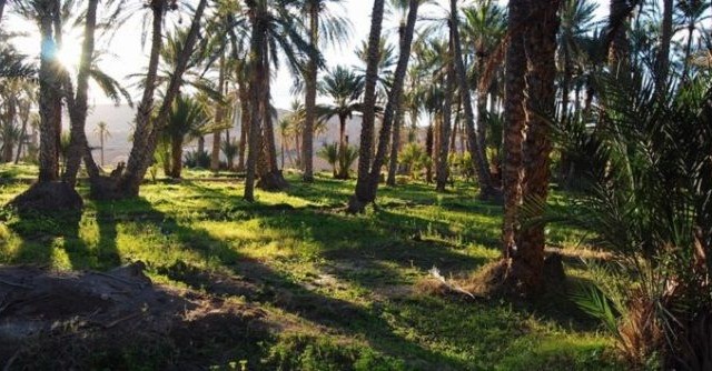 فلاّحو قفصة يحتجون على قطع مياه الريّ