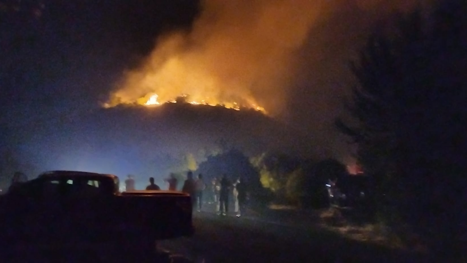 10 حرائق ب5 ولايات..تريعة يكشف لـ”تونس الان” اخر التطورات