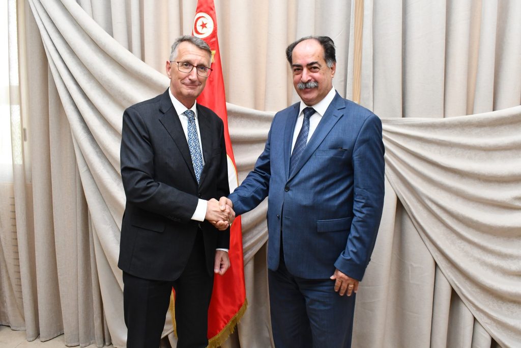 الفقي مع السفير الألماني