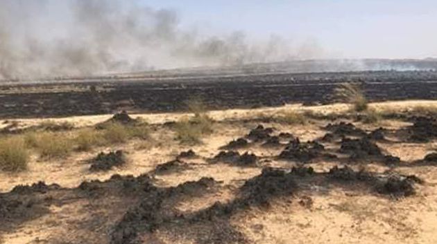 القصرين حريق