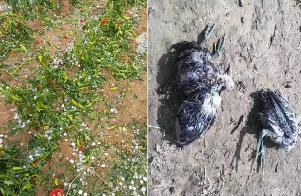 تساقط البرد