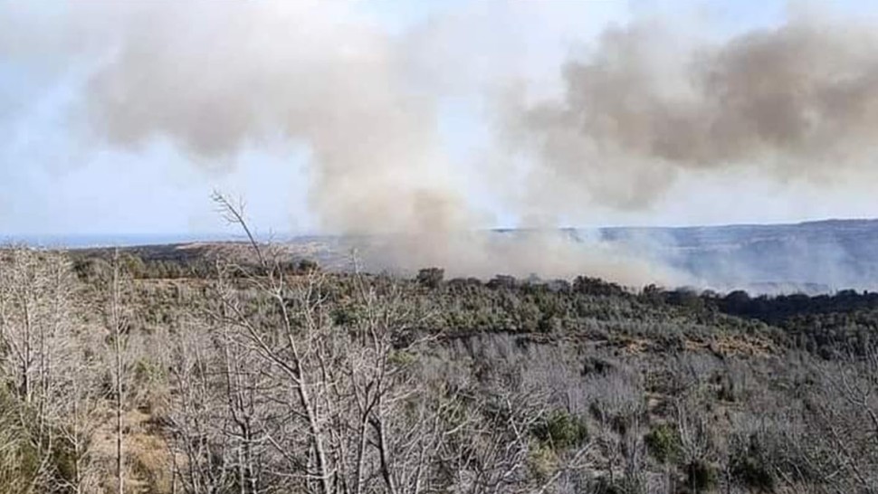 نابل/ حريق ضخم بغابة البندق