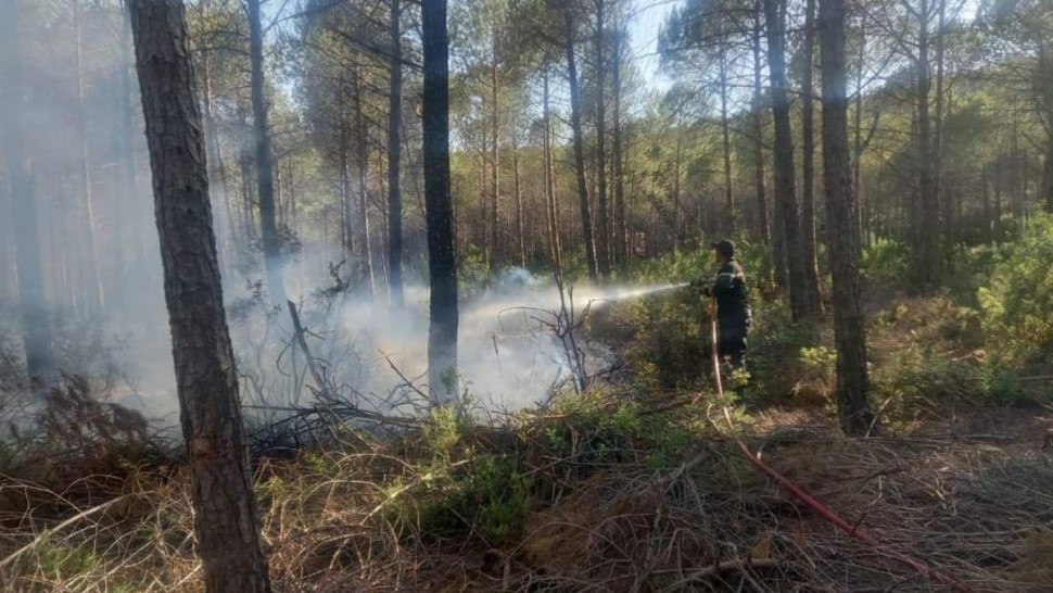 حريق بني خيار