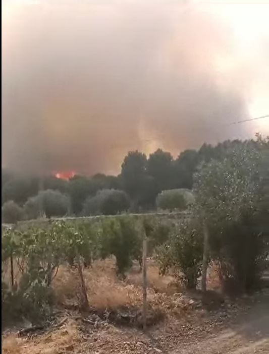 غار الدماء/ السيطرة على حريق بغابة البلدة الحدودية