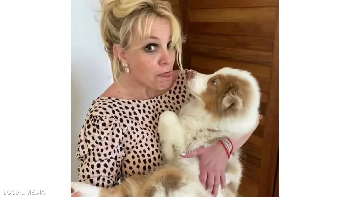 بعد طلاقهما..خلاف بين بريتني سبيرز وأصغري على “حضانة الكلاب”