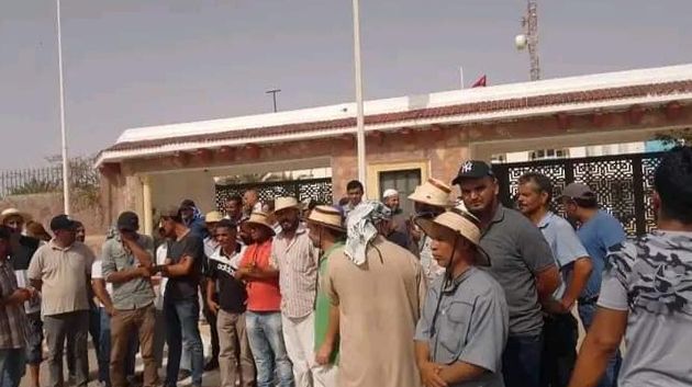 تطاوين/ تجدّد تحركات عاملي شركة البستنة