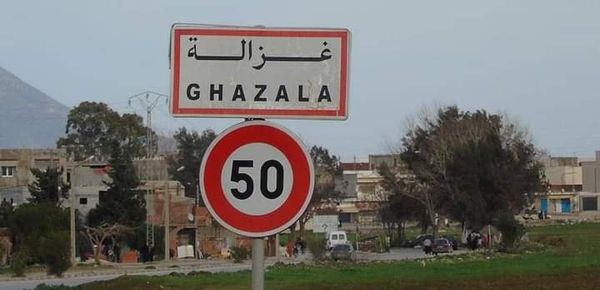 غزالة بنزرت