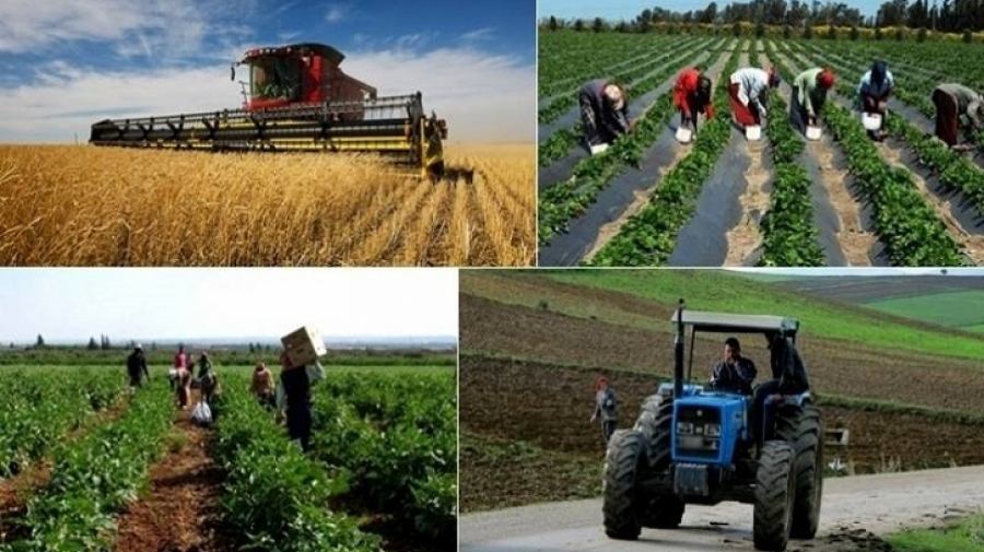 لصغار الفلاحين / 15 مليون دينار لتمويل 3 الاف قرض