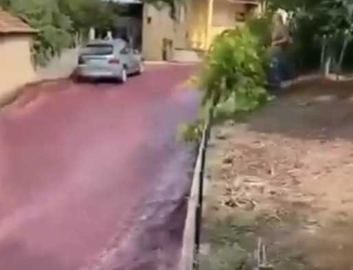 شاهد/ “أنهار من الخمر” تغمر شوارع مدينة برتغالية (فيديو)