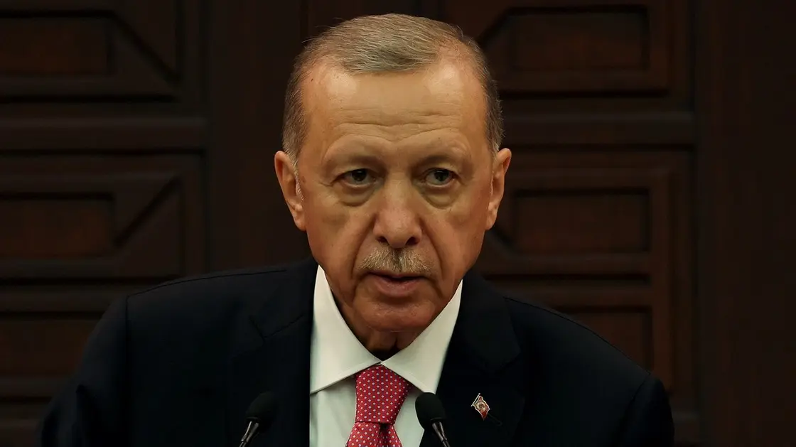 أردوغان: قد نتخلى عن مساعي الانضمام للاتحاد الأوروبي