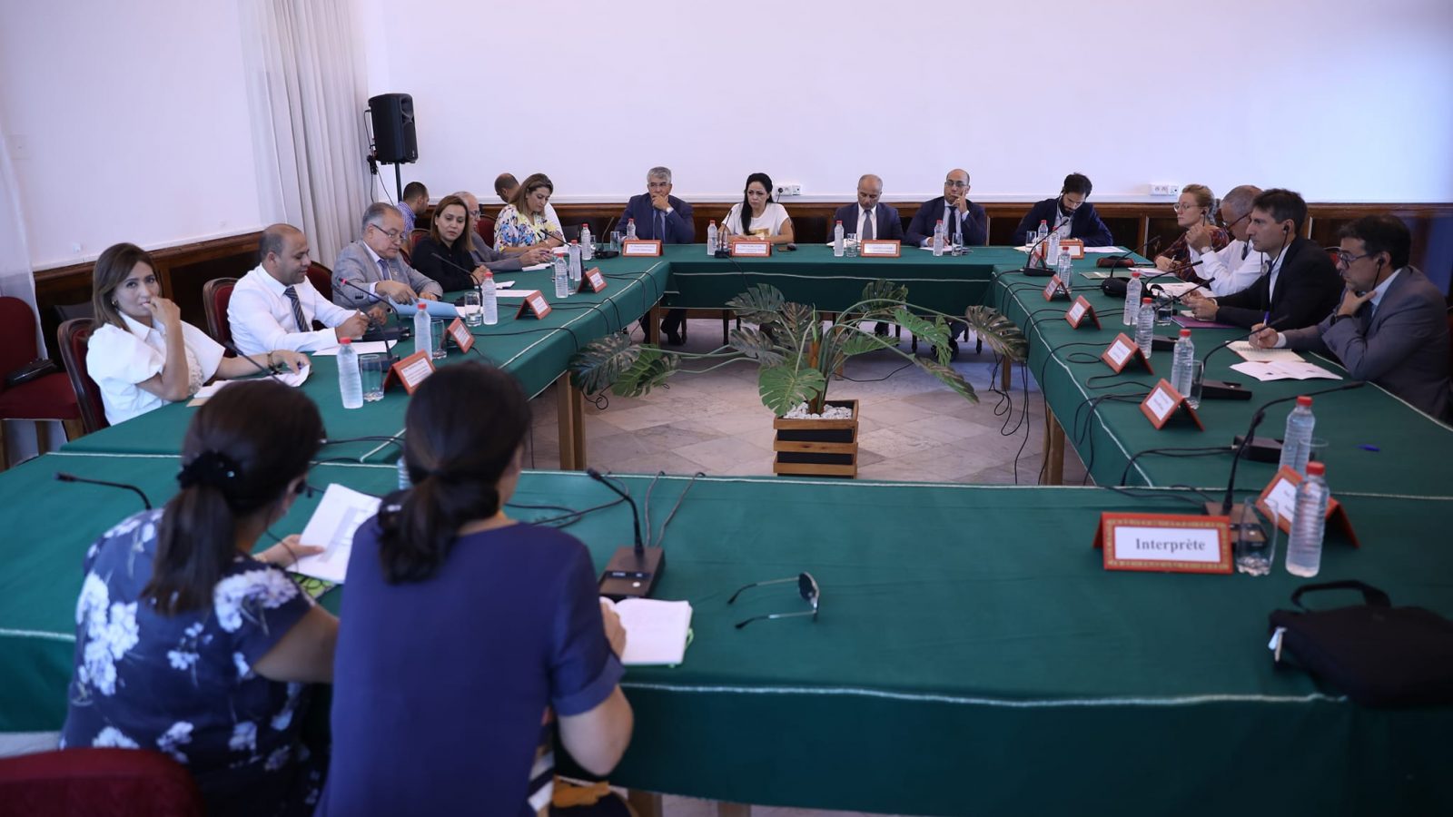 وفد من البرلمان الأوروبي في مجلس نواب الشعب