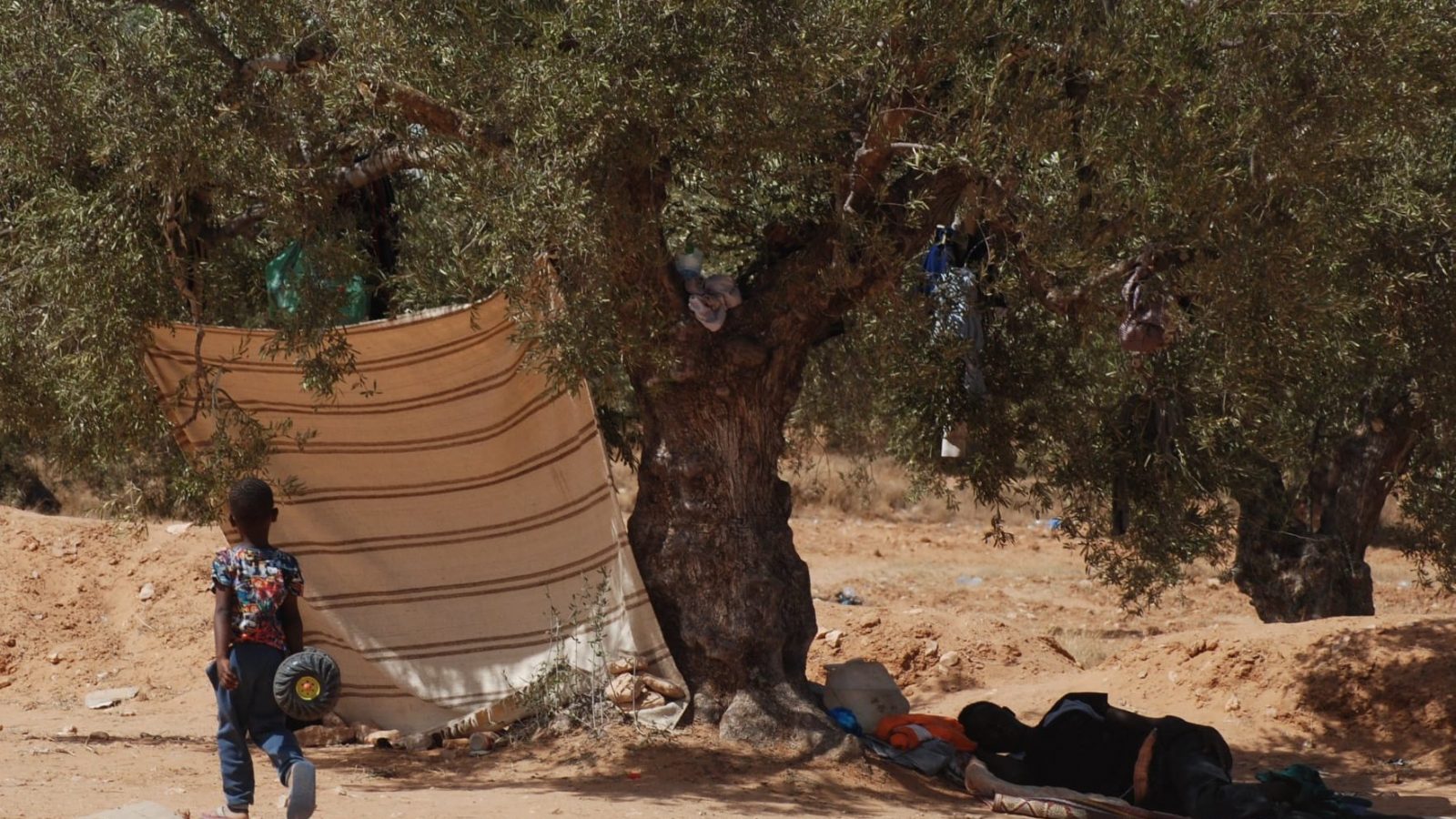 العامرة/ محاولات لاقناع السودانيين بمغادرة “هناشر الزيتون”(متابعة لـ”تونس الان”)