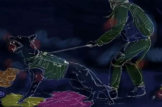 الأمم المتحدة تدعو للتحقيق في “تعرية” فلسطينيات قسرا