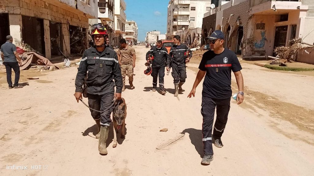 حماية تونس