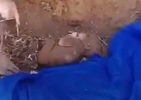 رضيعة حديثة الولادة