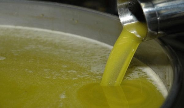 الإنتاج الوطني من زيت الزيتون لهذا الموسم