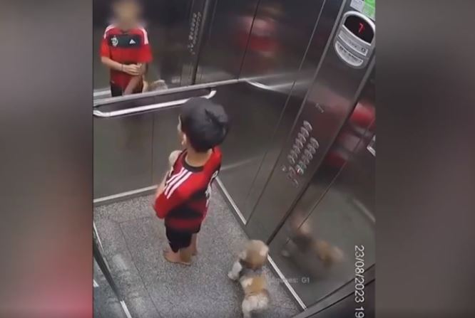 شاهد/ طفل ينقذ كلبه من موت محقق في مشهد مرعب