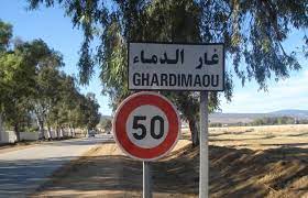 غار الدماء /حجز طيور ودجاج وكلاب نادرة
