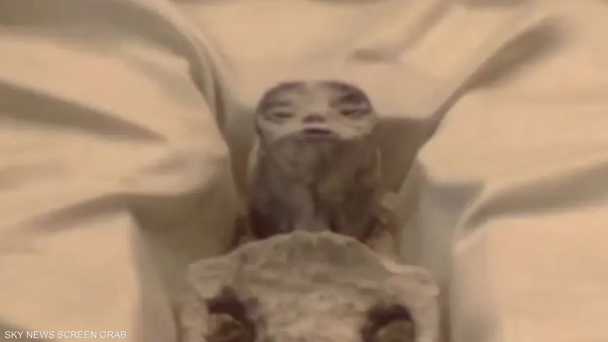 بالفيديو/ الكشف عن جثث لمخلوقات غريبة